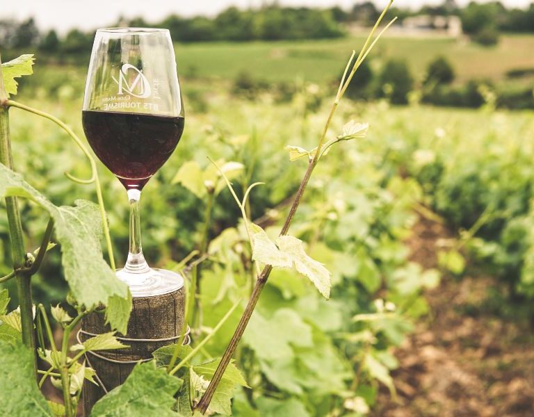 Crise no Consumo de Vinho do Porto Impacta Produtores Douro