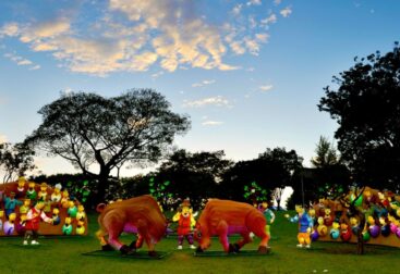 YARD Festival: Cultura Urbana e Diversidade em Portugal